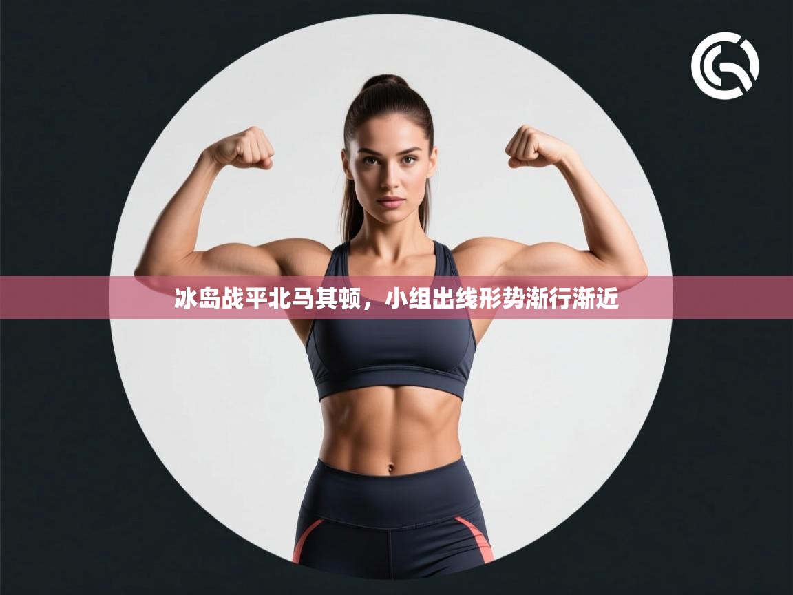 冰岛战平北马其顿，小组出线形势渐行渐近  第1张