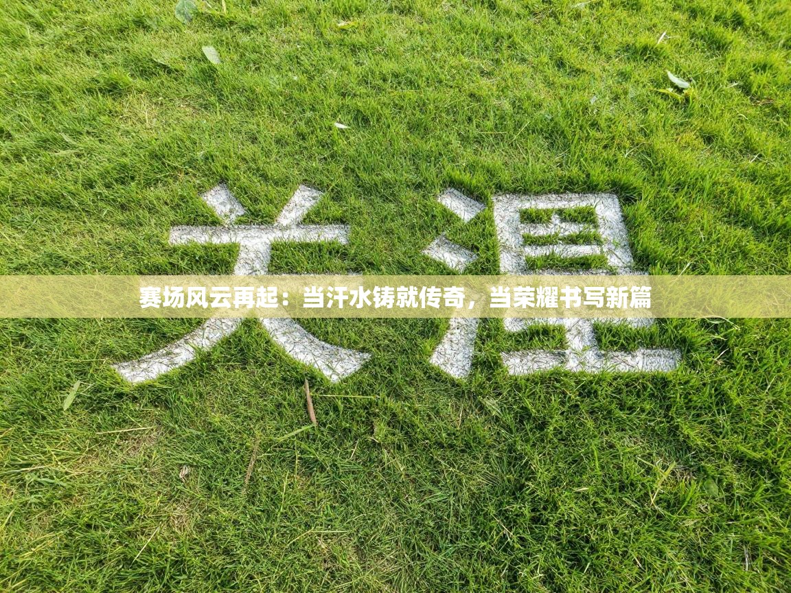 赛场风云再起：当汗水铸就传奇，当荣耀书写新篇  第1张