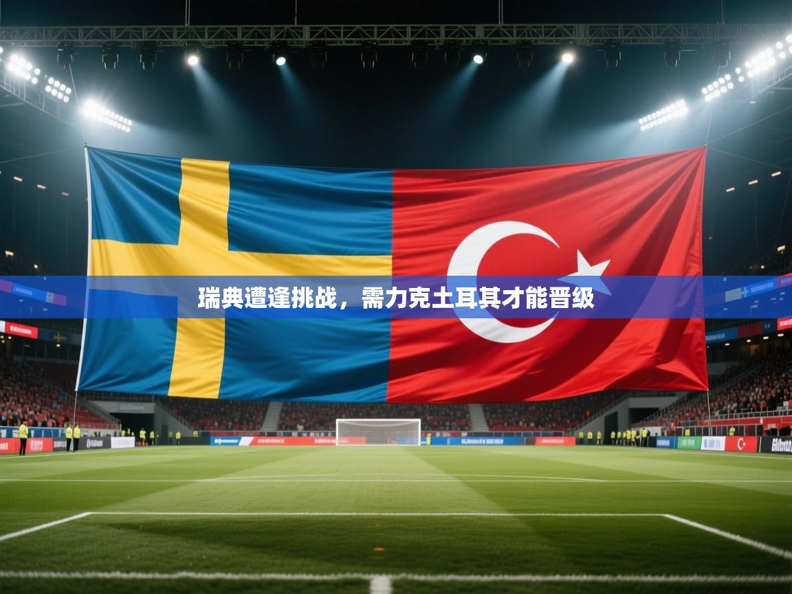 瑞典遭逢挑战,需力克土耳其才能晋级 第1张
