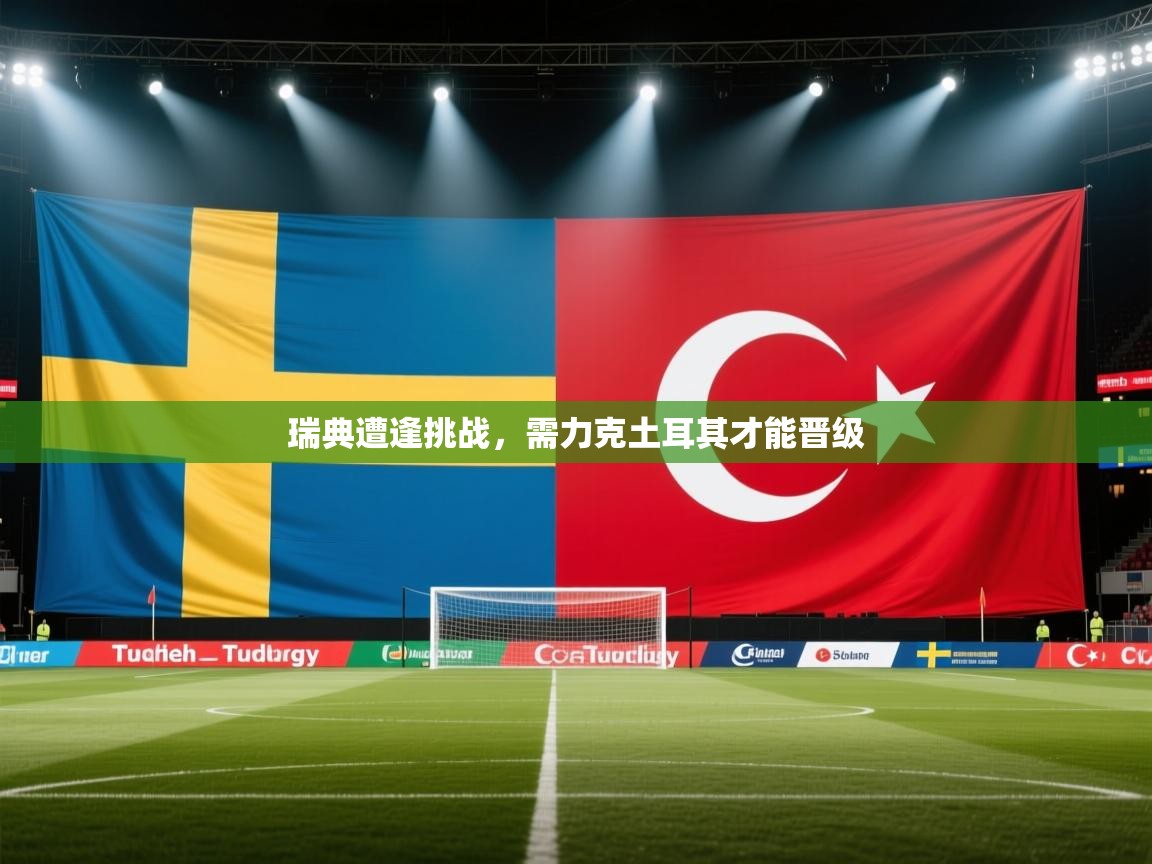 瑞典遭逢挑战,需力克土耳其才能晋级 第2张