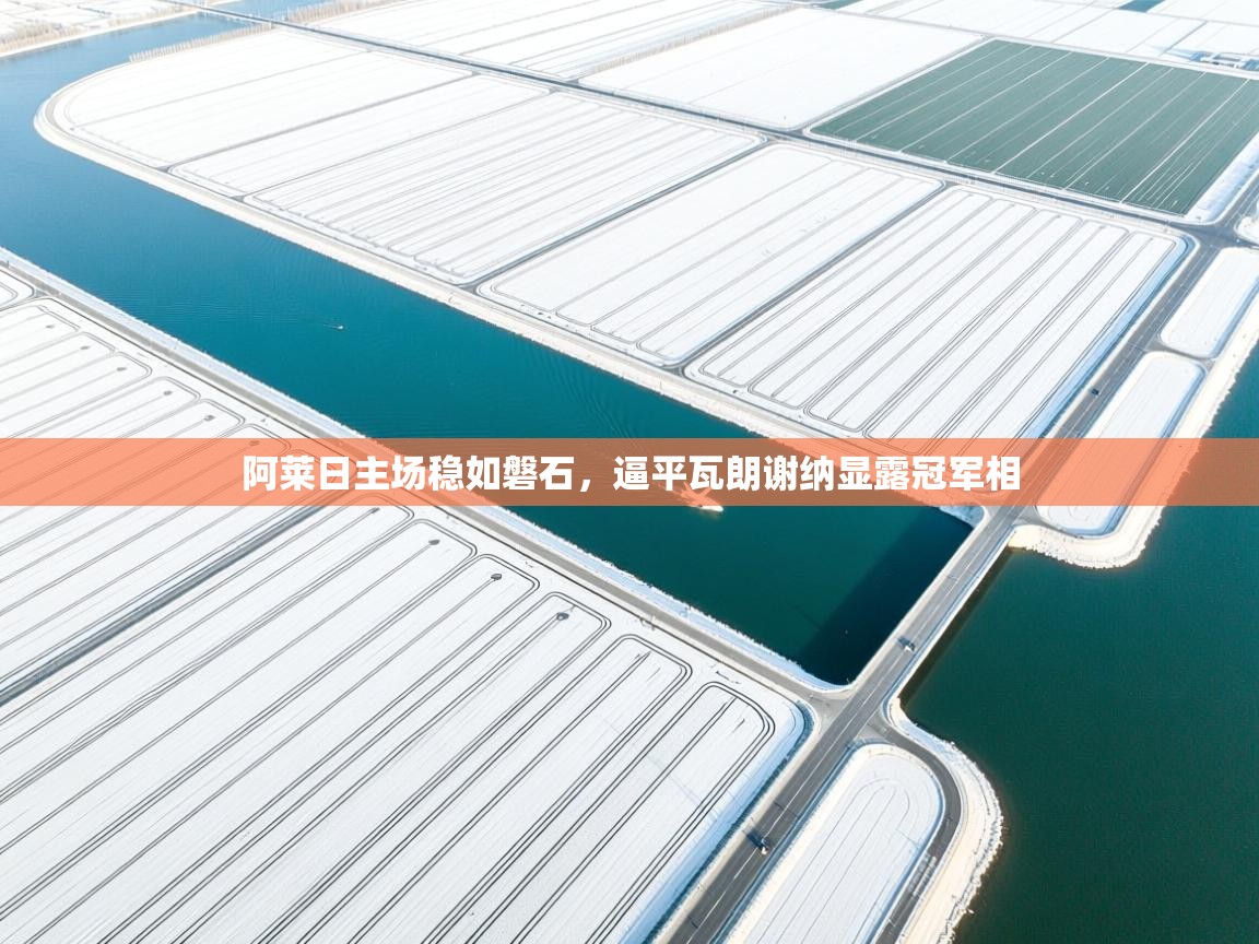 阿莱日主场稳如磐石,逼平瓦朗谢纳显露冠军相 第1张