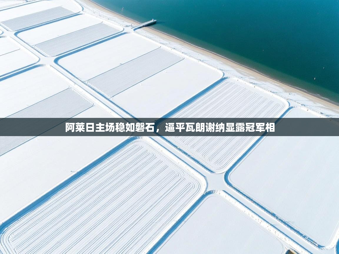 阿莱日主场稳如磐石,逼平瓦朗谢纳显露冠军相 第2张