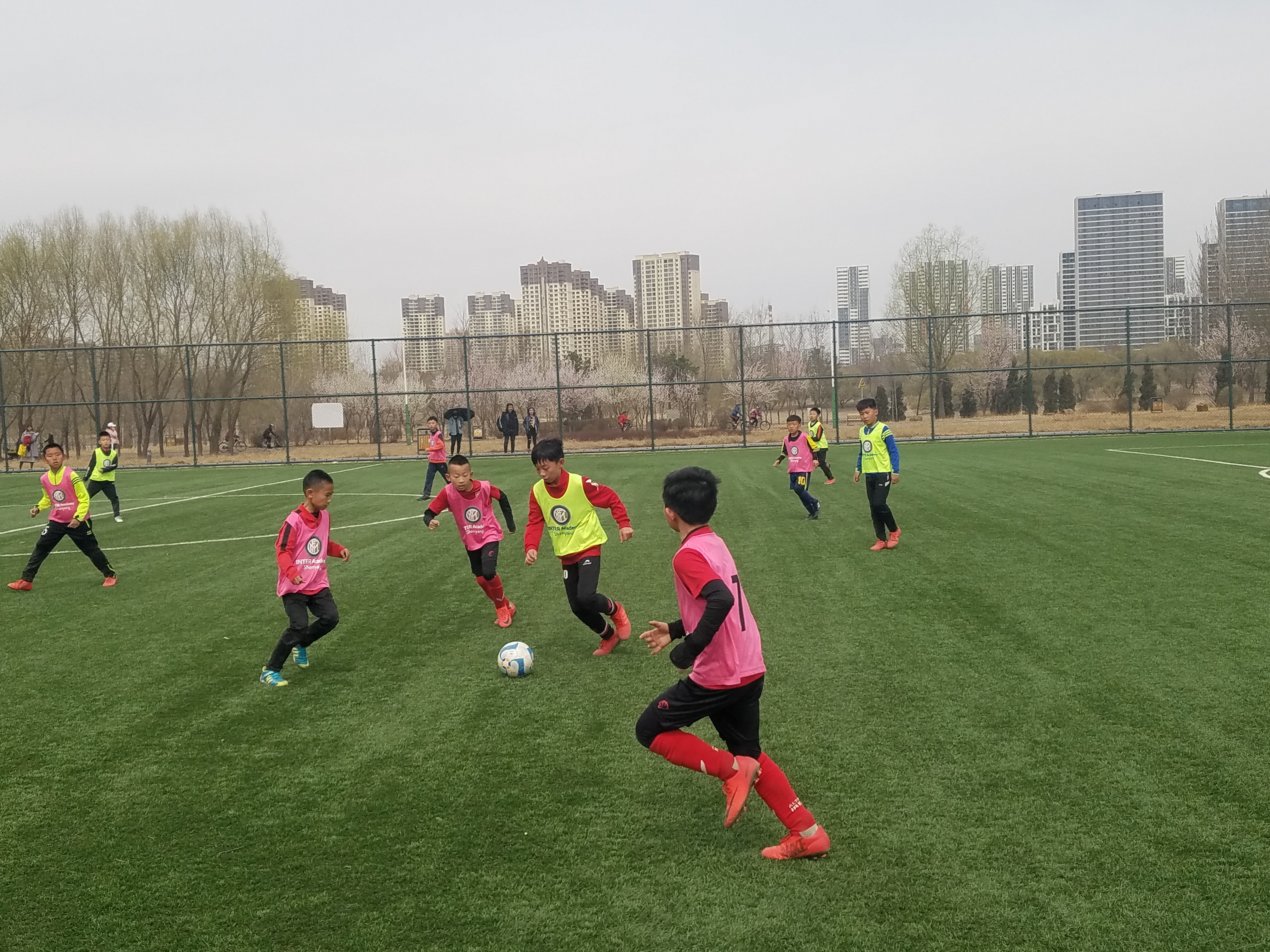 沙尔克青训培养新人，未来可期