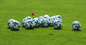 爱游戏官网登录网址-沙尔克04客场硬战 科隆被逼平，沙尔克04官方网站