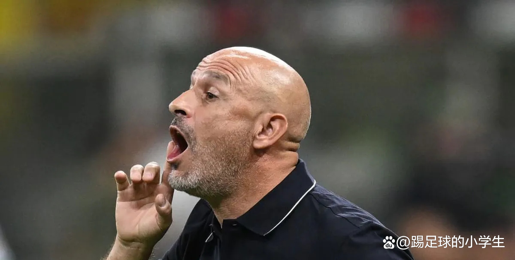 爱游戏链接-博洛尼亚客场大败，境遇堪忧的简单介绍