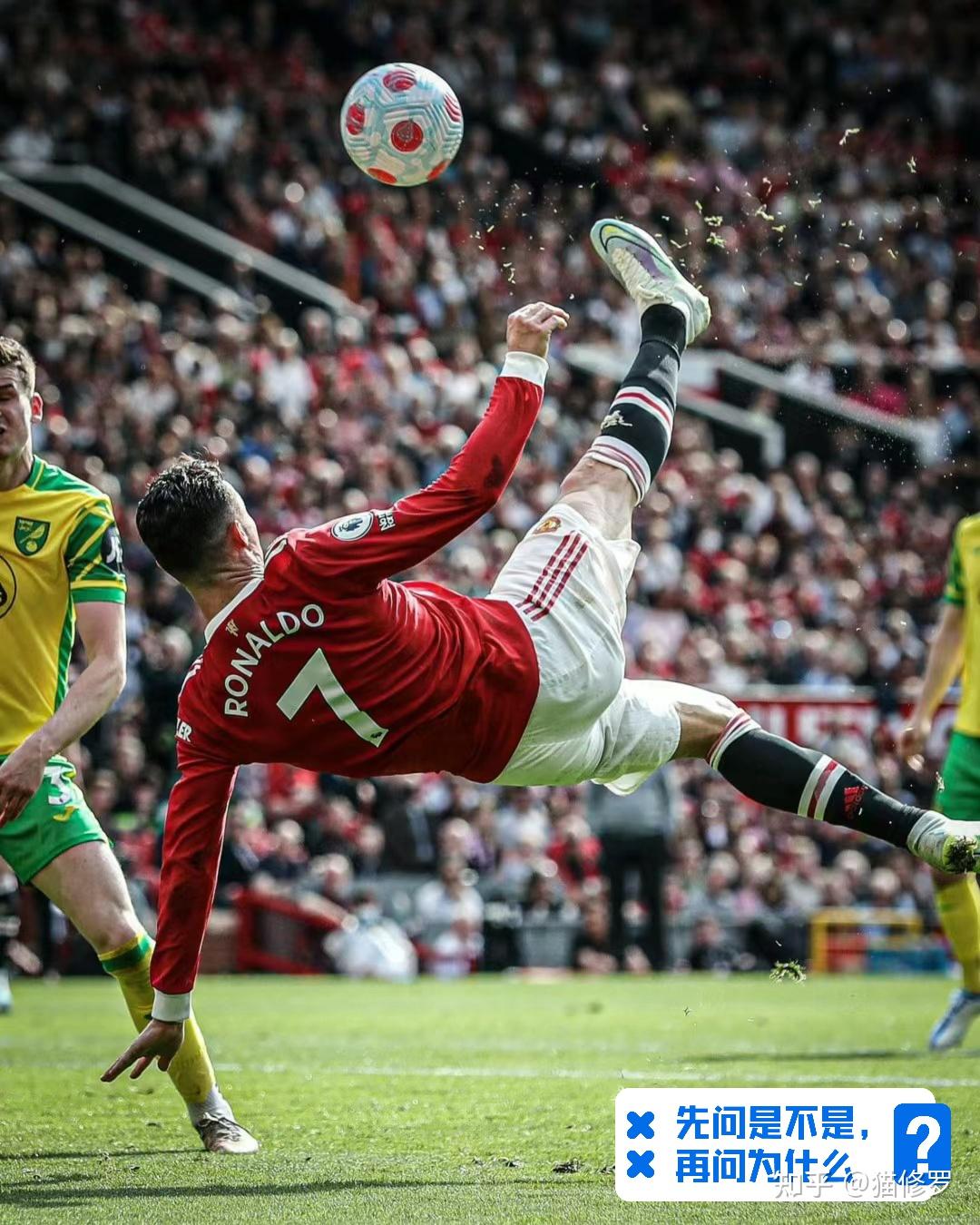 德国足球队表现出色，赢得全部比赛的胜利